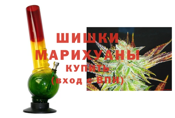 шишки Белокуриха