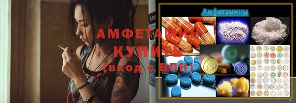 шишки Белокуриха