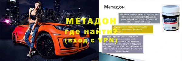 шишки Белокуриха
