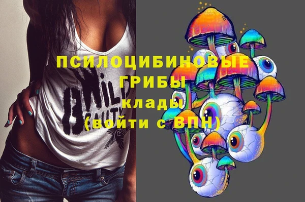 шишки Белокуриха