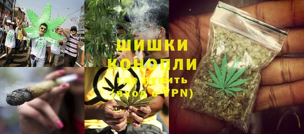 шишки Белокуриха