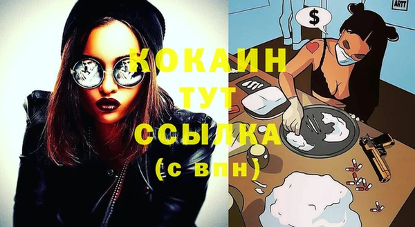 шишки Белокуриха