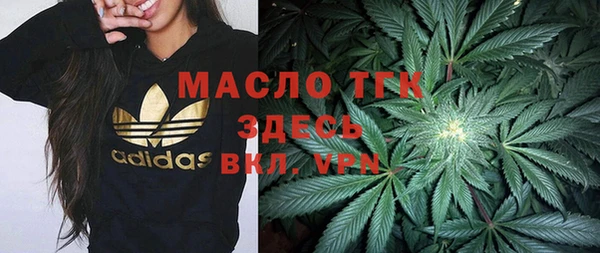шишки Белокуриха